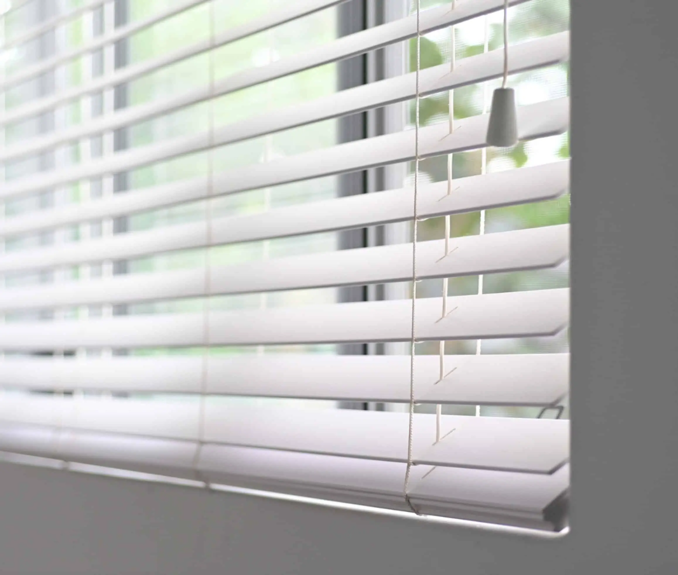 Venetian Blinds