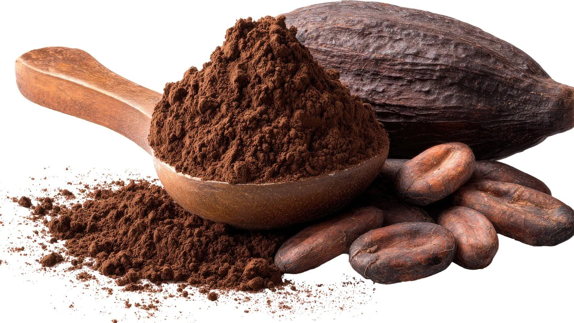 COCOA Powder